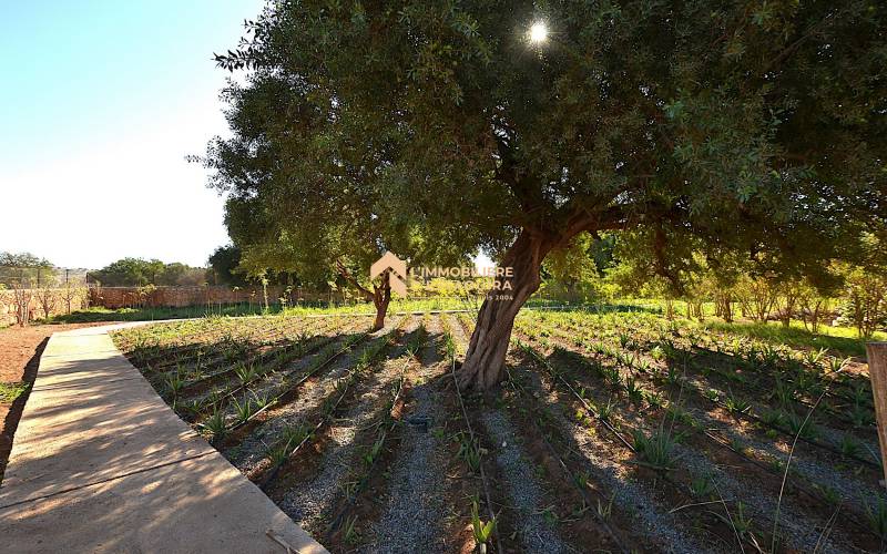 Villa Had Dra_VNA (40)